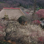 京王百草園