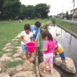 大木島自然公園