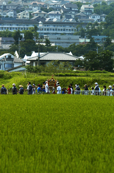 日枝神社祭