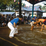 豊田若宮神社例祭で恒例奉納子ども相撲大会開催