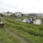 よそう森公園