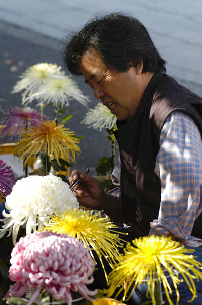 高幡不動菊まつり