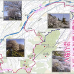 桜と歩く　高幡不動から平山へ