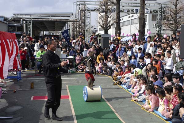 日野自動車さくら祭猿まわし