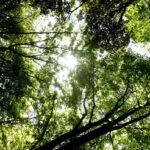 秋に開催します、今年のひのアートフェスティバルは10月25日（土）、26日（日）