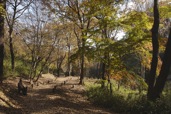 静かに冬を待つ平山城址公園