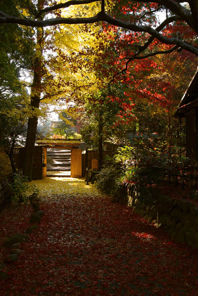 茅葺き屋根の葺き替え