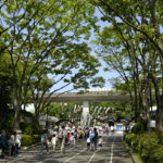 多摩動物公園は5月5日が誕生日、来年は開園50周年です