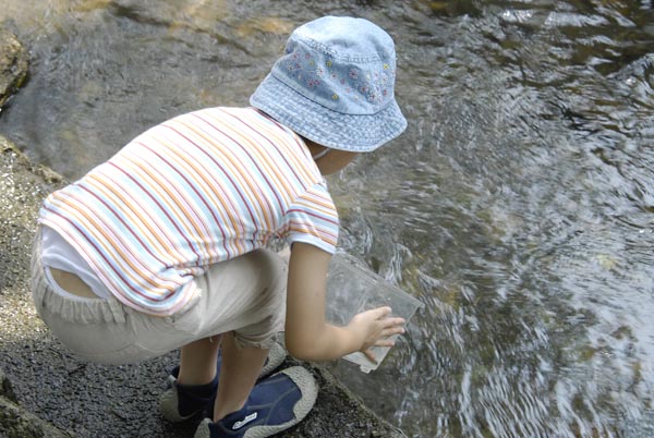 小さな仲間たち