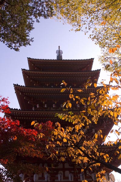 高幡不動尊と京王百草園で『紅葉まつり』