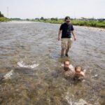 水清き浅川を上るのは鮎？