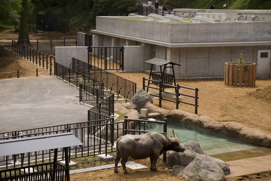 多摩動物公園が開園50周年