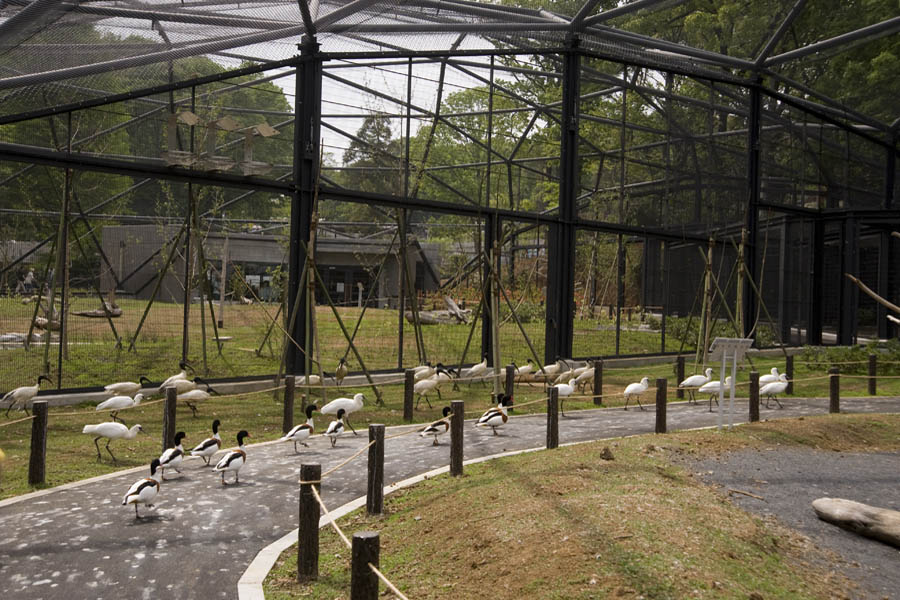 多摩動物公園が開園50周年