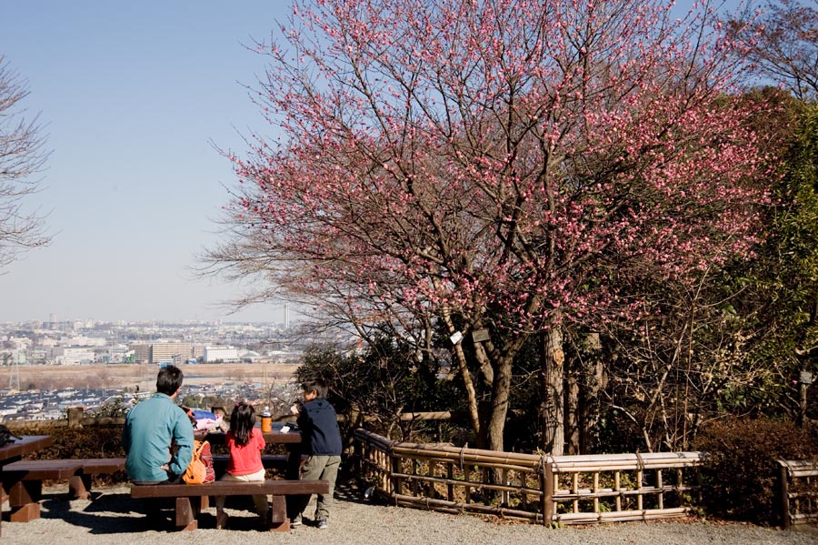 京王百草園「梅まつり」