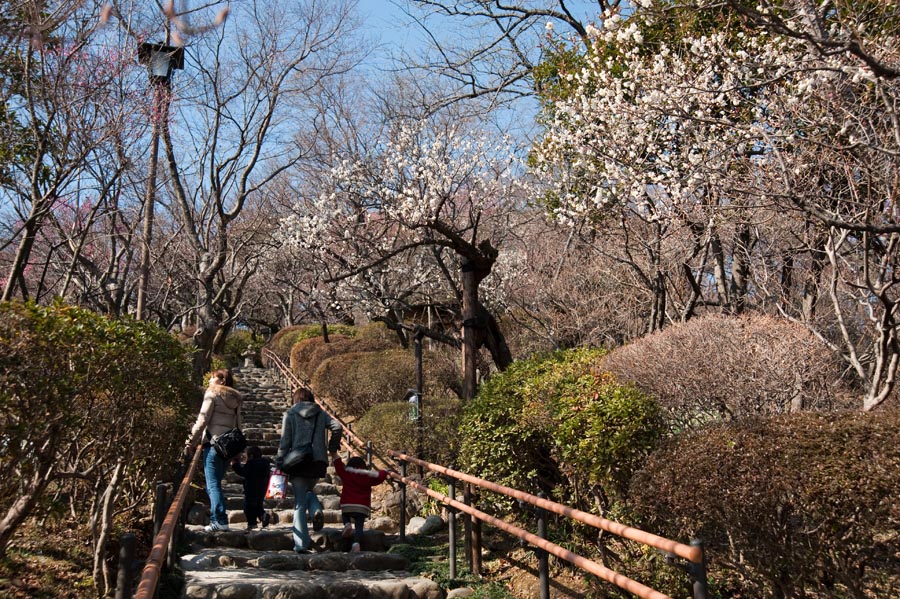 京王百草園「梅まつり」