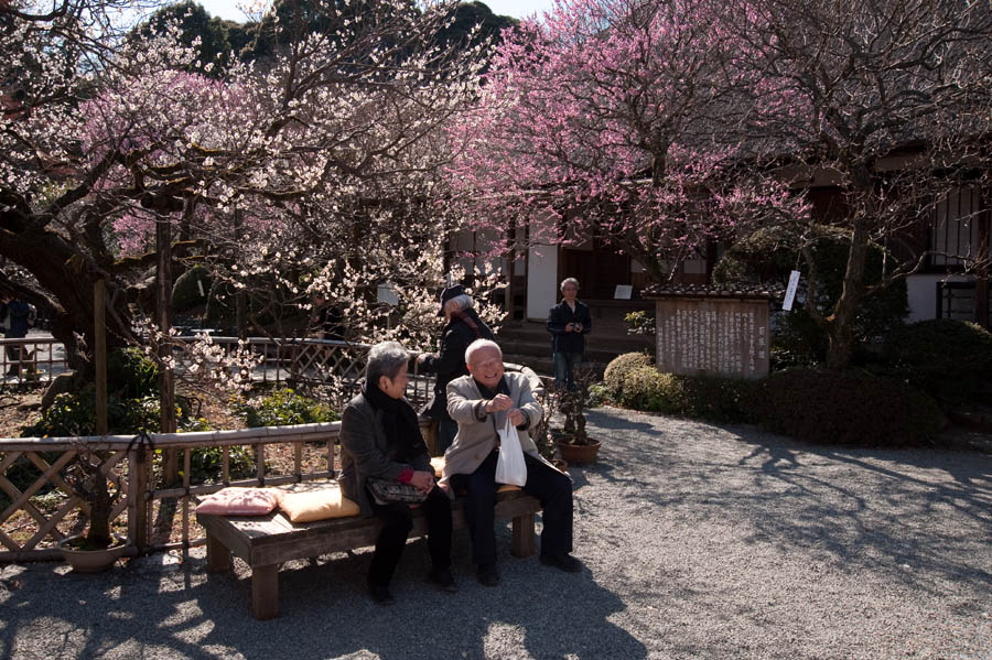 京王百草園「梅まつり」