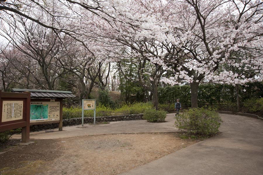 平山城址公園が拡張されます