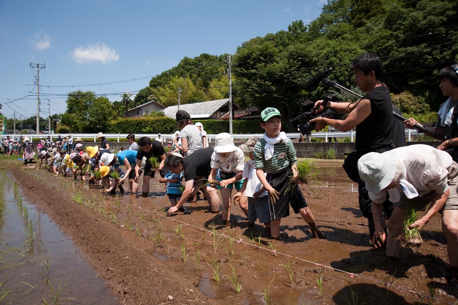 どろんこになって田植えをしました