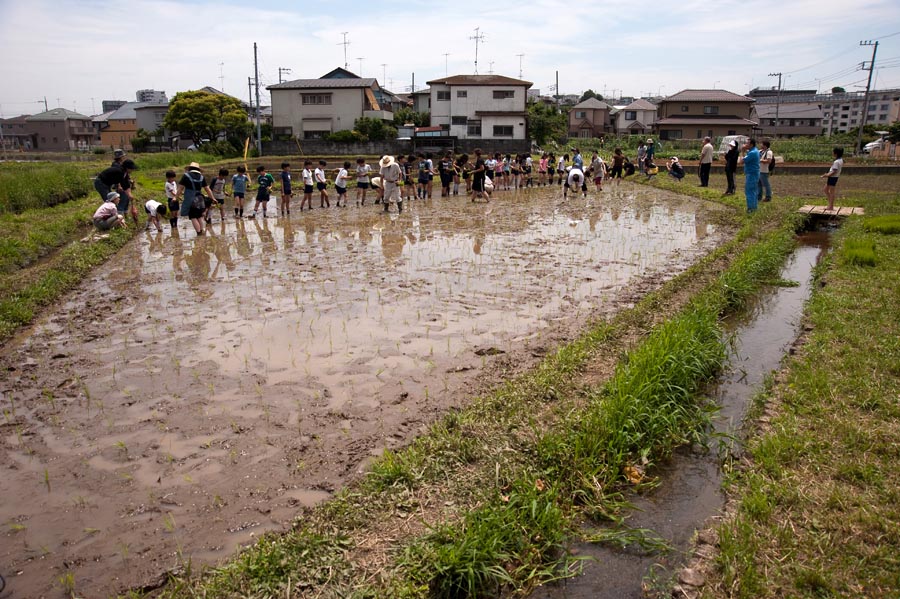 行く川のながれは絶えずして、日野用水・今昔