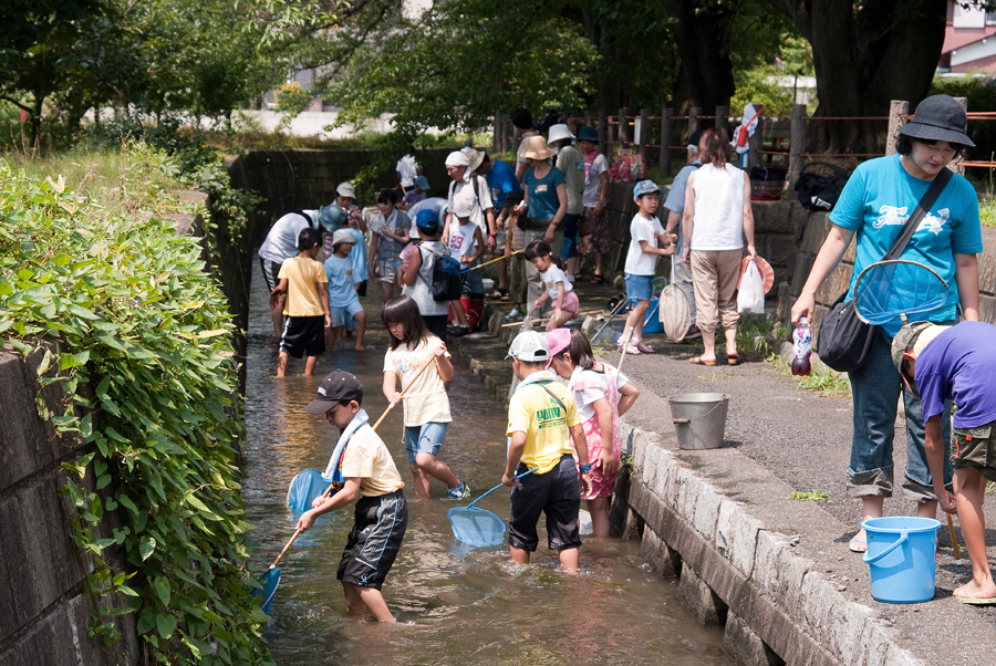 夏休み！日野の用水を体験