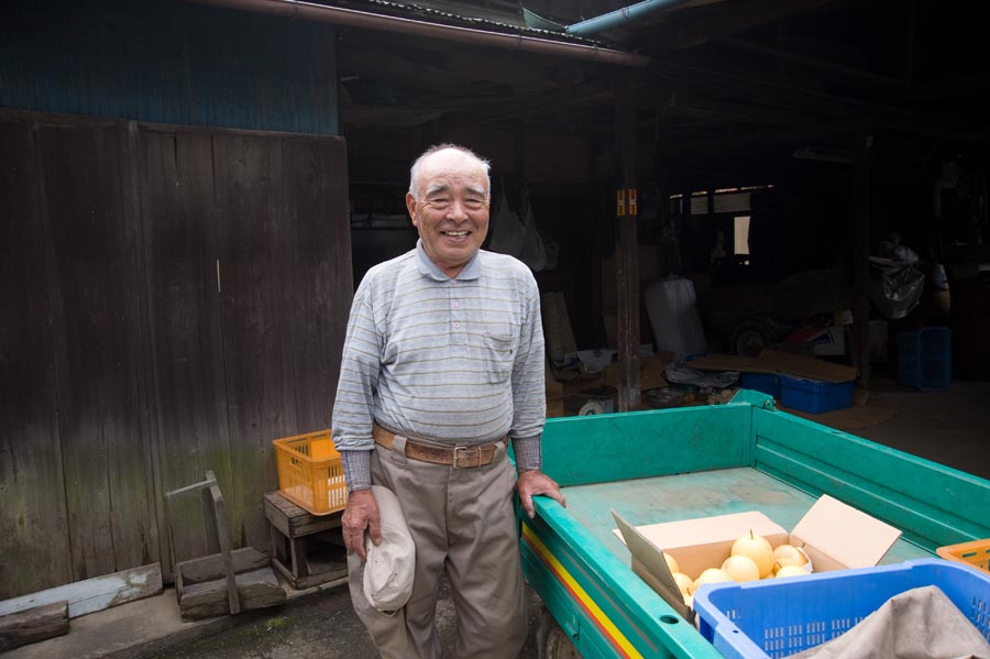 日野名産の梨・ぶどうの販売開始