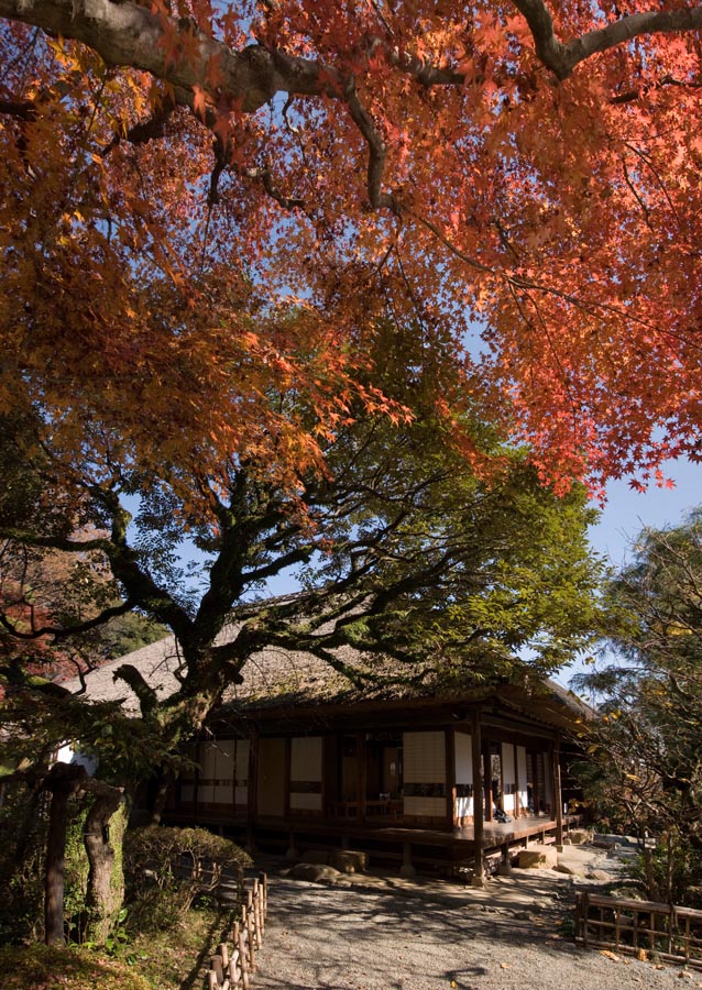 2009年京王百草園紅葉まつり開催