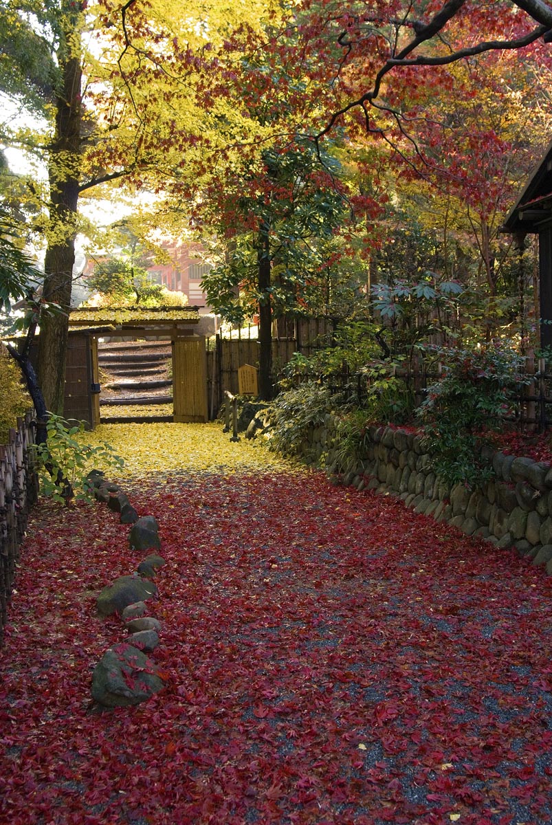 日野市ぐるっと！紅葉ウォーキング