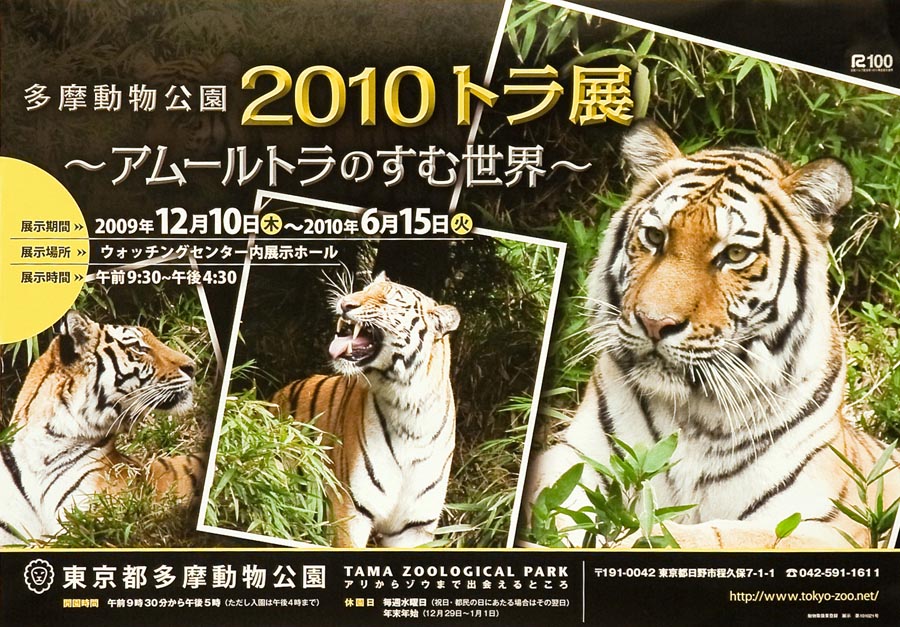 多摩動物公園　特設展「アムールトラのすむ世界」開催中