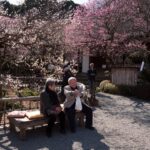 2010京王百草園「梅まつり」開催