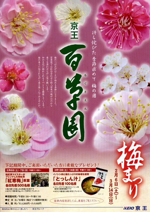 2010京王百草園「梅まつり」開催