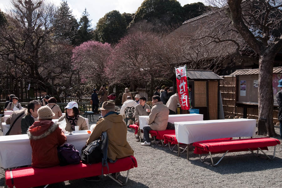 梅まつり、京王百草園梅、開花情報