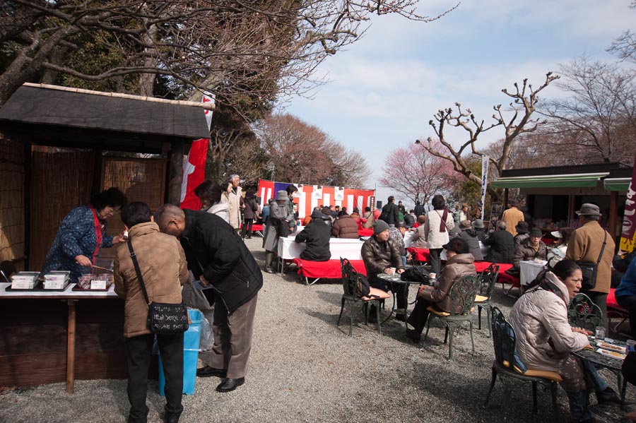 梅まつり、京王百草園梅、開花情報