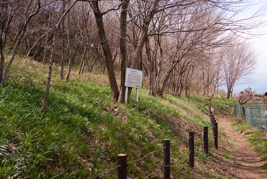 桜待つ間