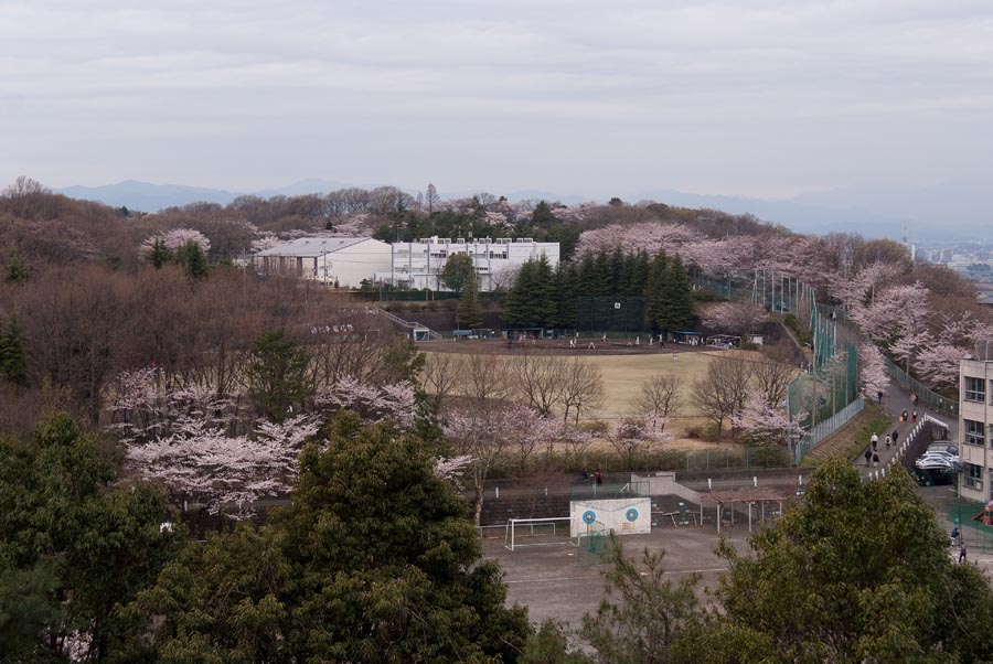 4月最初の日曜日、平山は盛り上がる