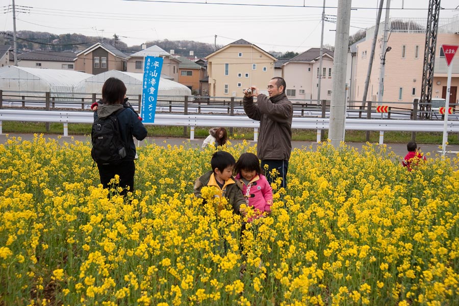 4月最初の日曜日、平山は盛り上がる