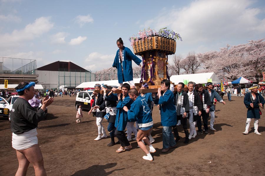 復活コニカミノルタ桜祭り