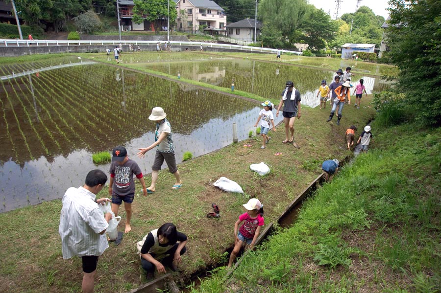 田植え時