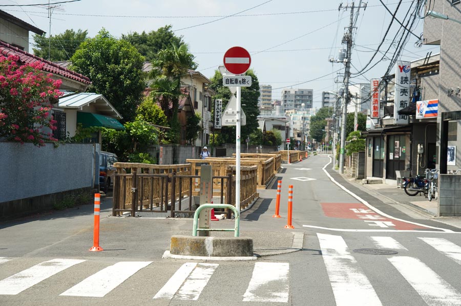 今年も日野用水に鮎の姿