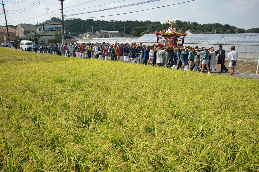 神輿、通る！