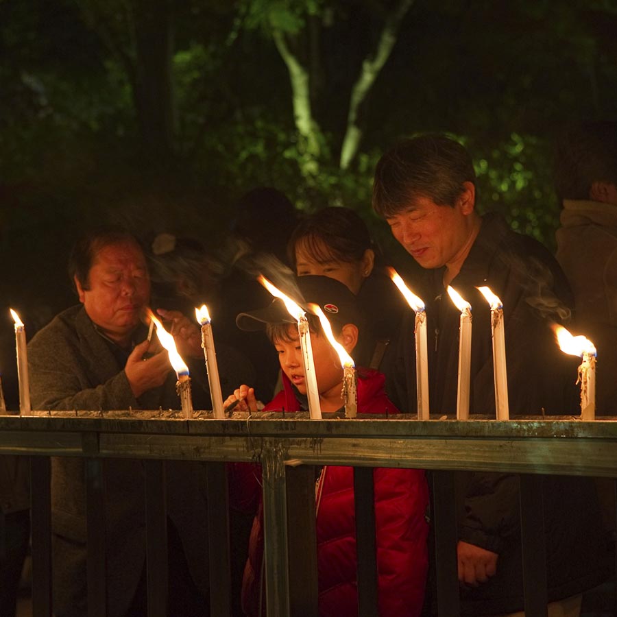 今年は凝縮点灯もみじ灯路