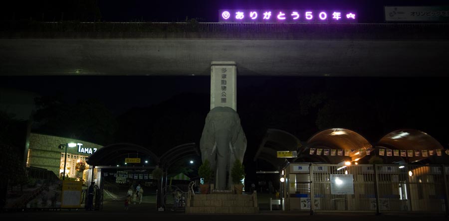 多摩動物公園で夜の動物に会える