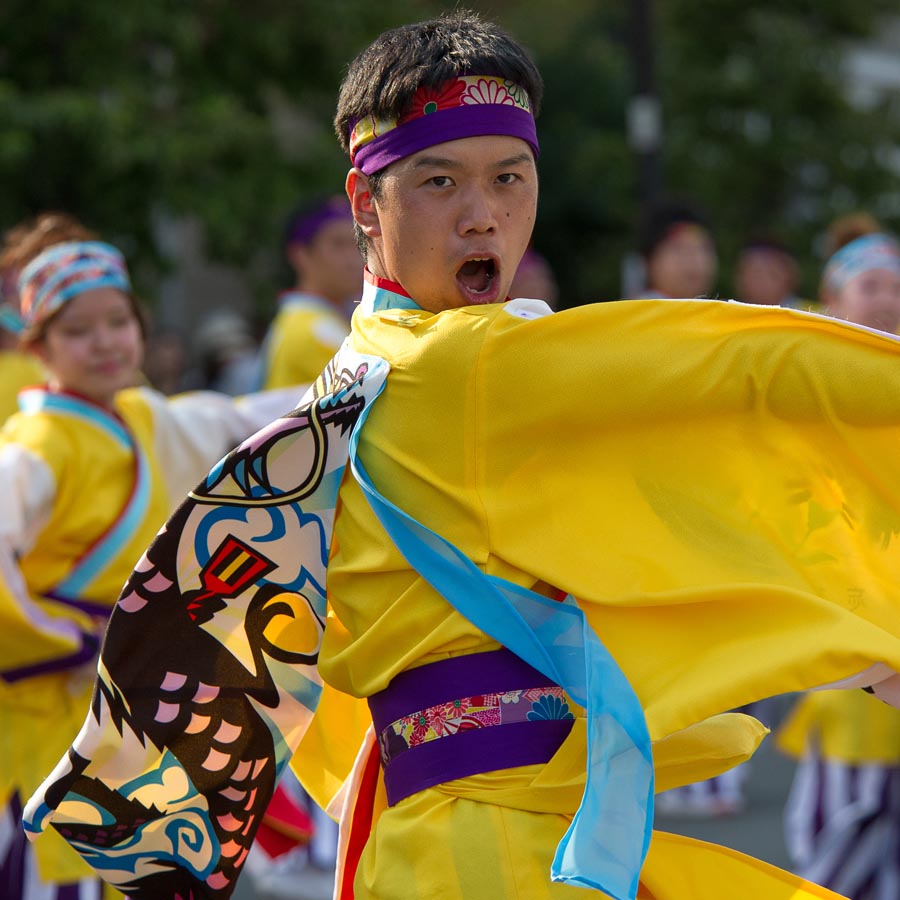 暑さも熱気で吹き飛んだ！？ひのよさこい祭