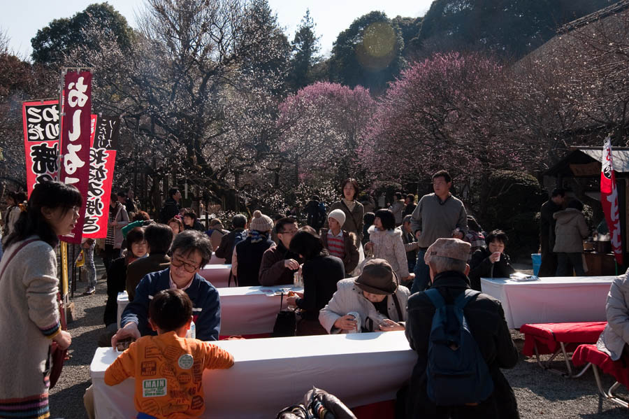 2011京王百草園「梅まつり」開催