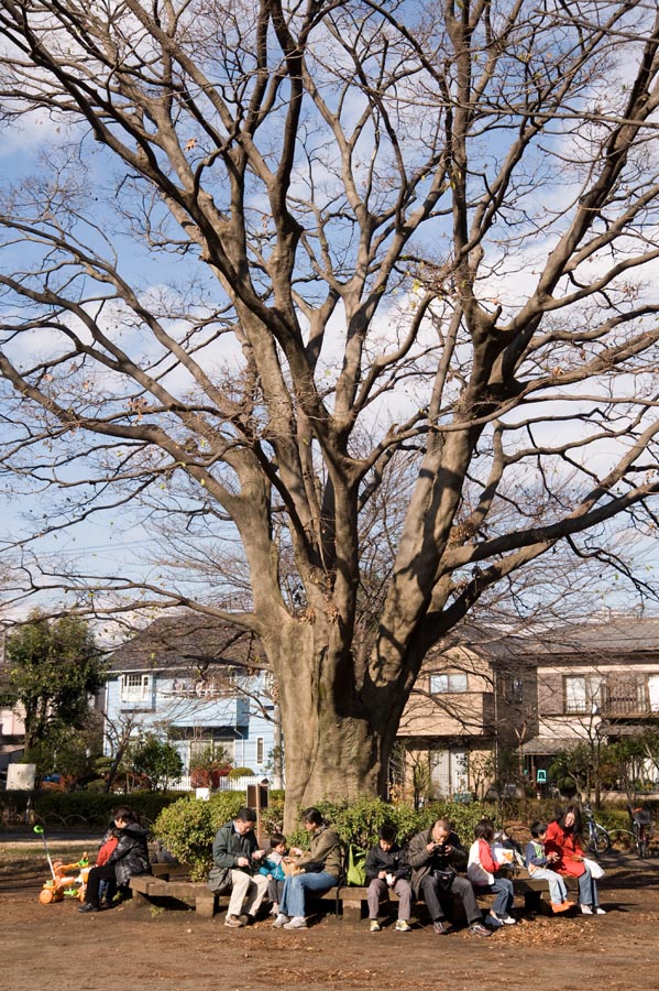 今年は気持ちよくたき火ができました