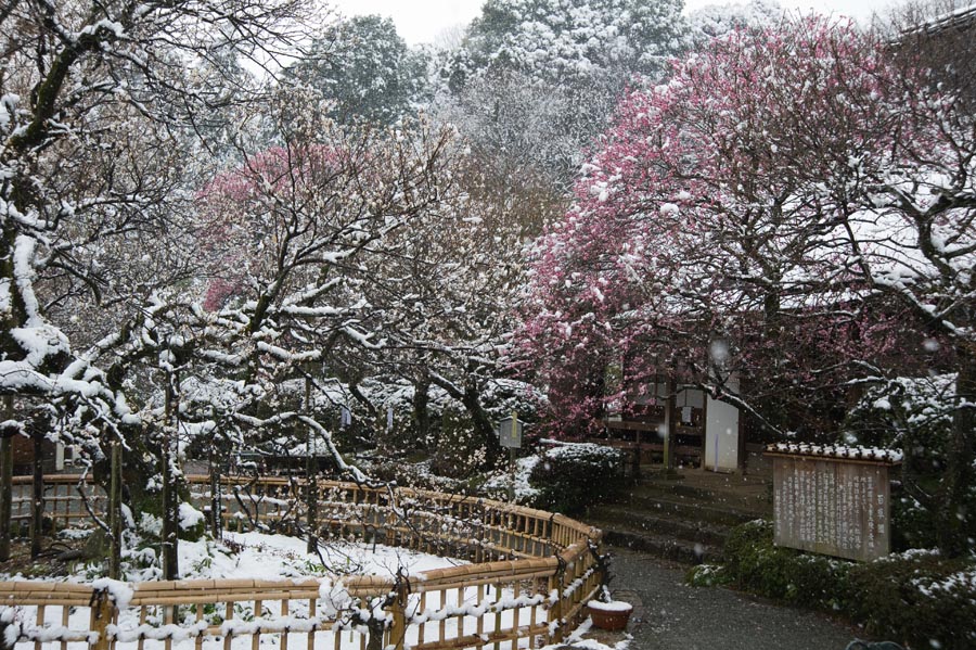 雪、晴れのち雪、そして晴れ