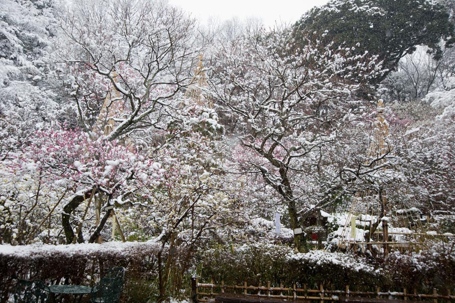 雪、晴れのち雪、そして晴れ