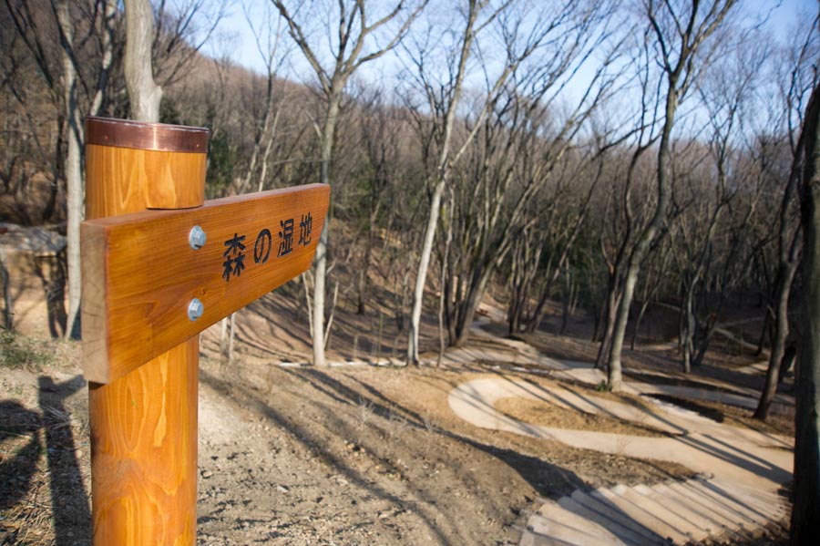 平山城址公園拡大工事終了