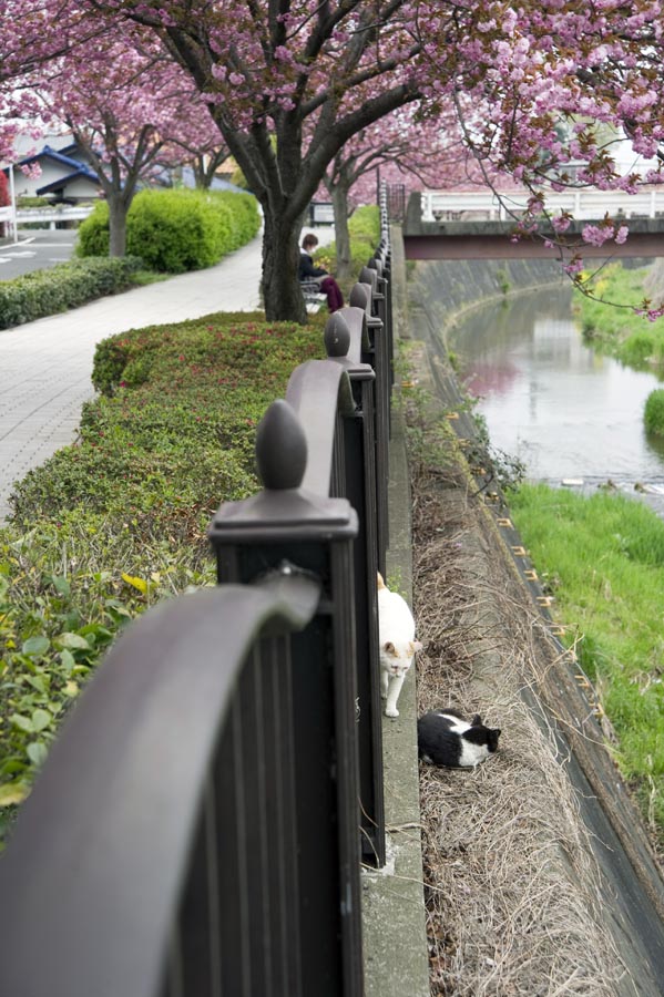 水温むとはいうものの