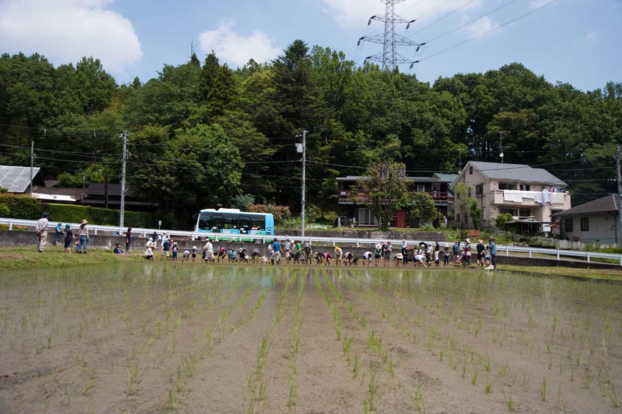 里山の田植え