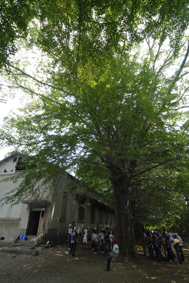 夏休みは自然体験広場で遊ぼう